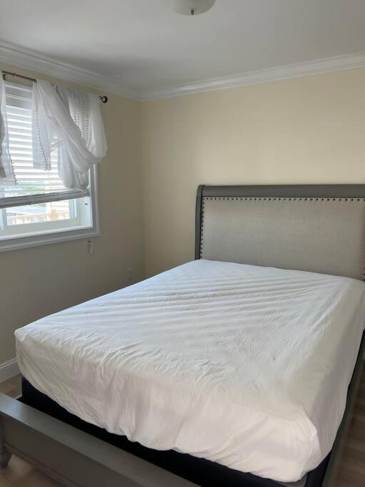 Hampton Beach Ocean Front Condo At The Surf Esterno foto